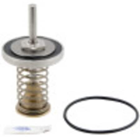 Watts 2ND CHECK RepairKit 2.5 & 3 in. LF 0794101